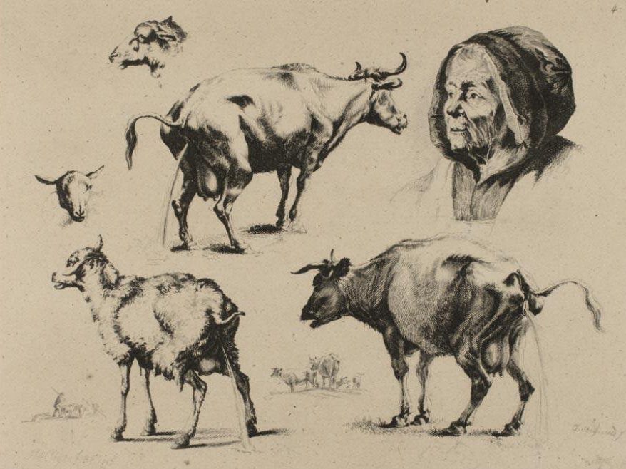 La elusiva naturaleza humana: el inevitable espejeo con los animales
